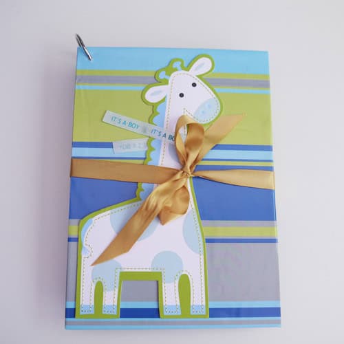 save baby cards - finished ring bound keepsake