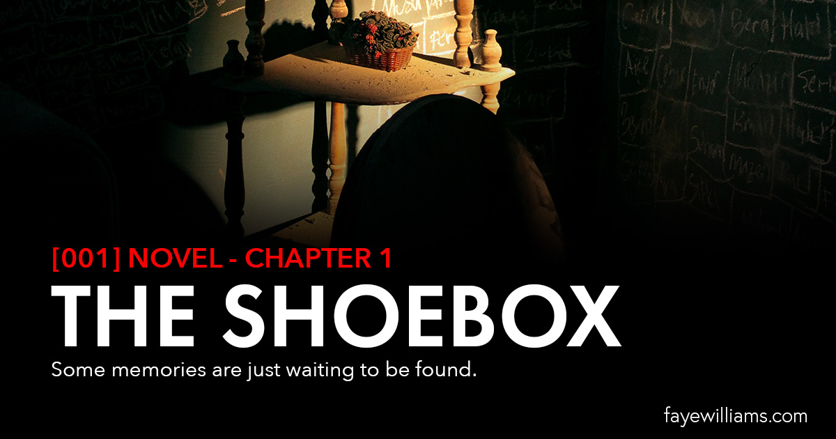 Novel The Shoebox chapter 1