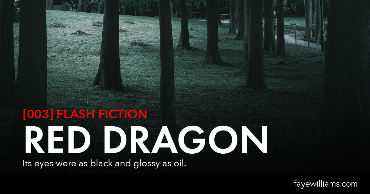 flash fiction red dragon